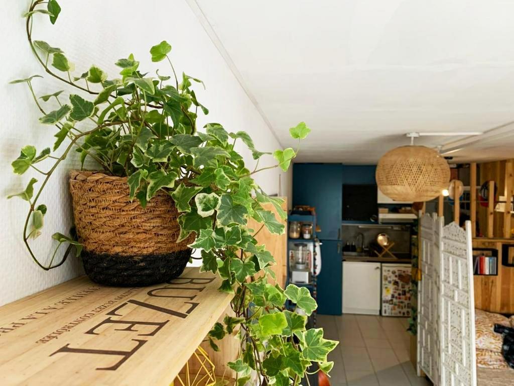 Apartment Avec Terrasse Pres Du Vieux Port